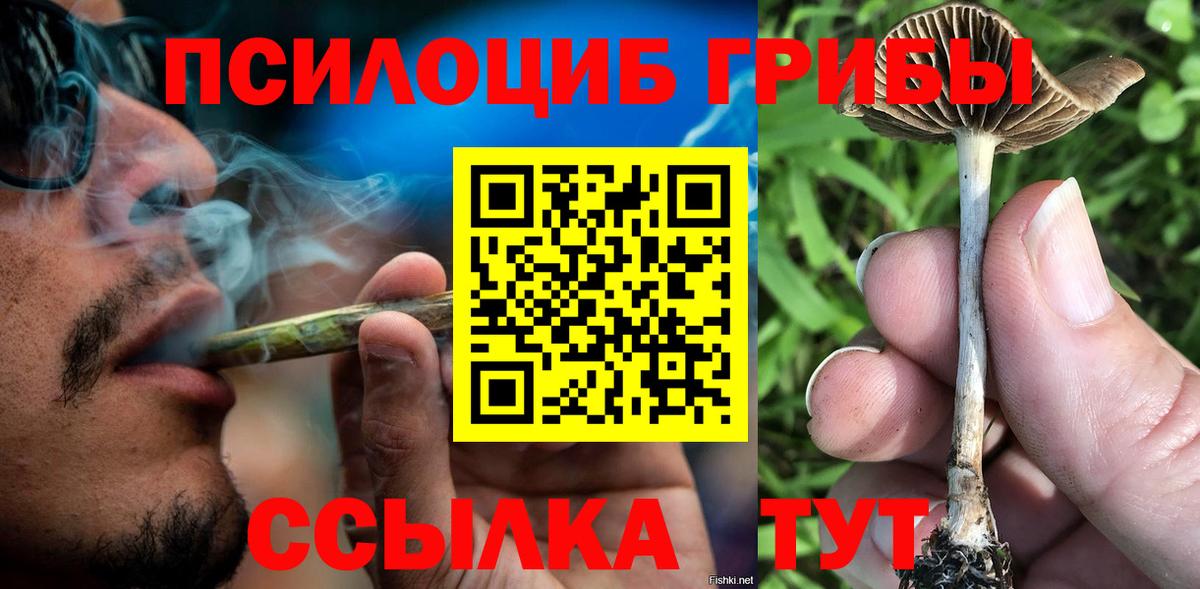 Мытищи  Псилоцибиновые грибы мицелий  Вход с VPN 