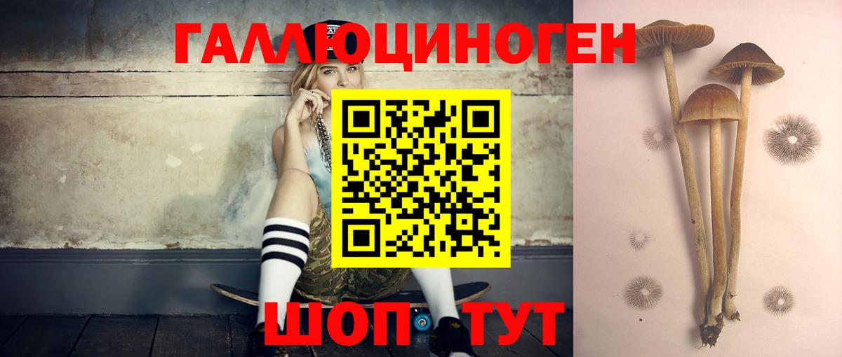 Галлюциногенные грибы мухоморы Мытищи