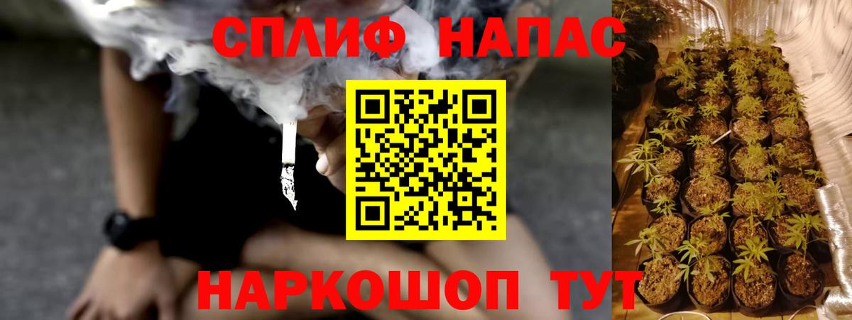 Мытищи  Бошки Шишки конопля  Вход с VPN  Конопля SATIVA & INDICA 